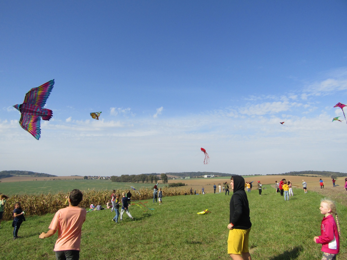 IMG_2151.JPG IMG_2151.JPG