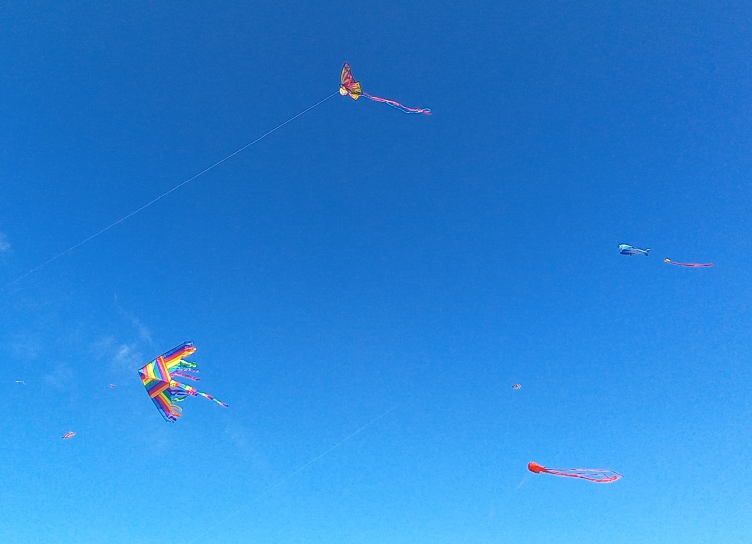 20211011_135319.jpg 20211011_135319.jpg