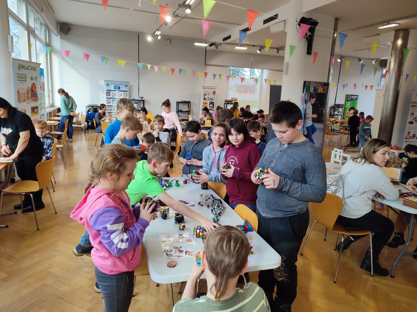 IMG_20230223_141421.jpg IMG_20230223_141421.jpg