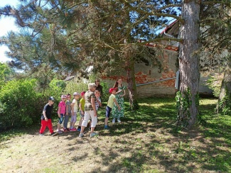 IMG20230601101659.jpg