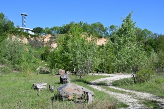 DSC_0774.JPG