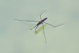 DSC_0781.JPG