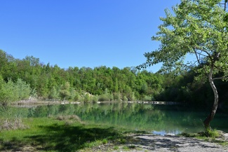 DSC_0788.JPG