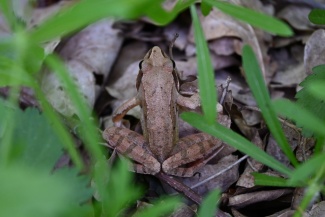 DSC_0918.JPG