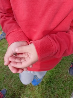 IMG20250512101509.jpg