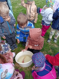 IMG20250512101914.jpg