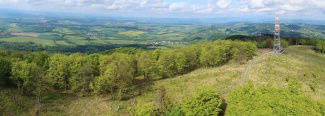 36_IMG_8855.JPG