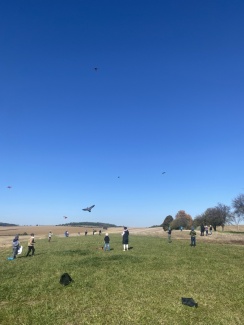 IMG_7422.jpeg