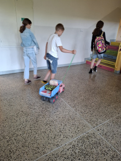 20260605_070841.jpg