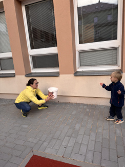 IMG_0046.jpeg