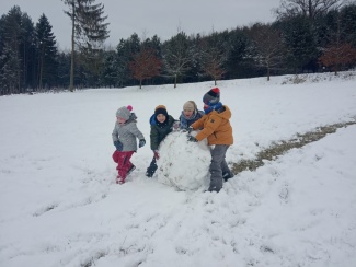 IMG_20210119_101845.jpg