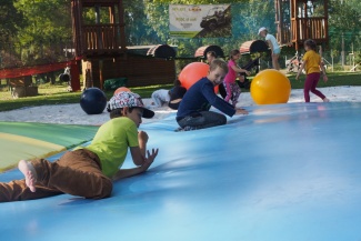 PA050417.JPG