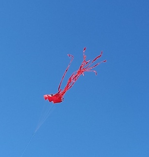 20211011_133129.jpg