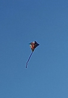 20211011_134725.jpg