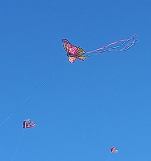 20211011_135303.jpg