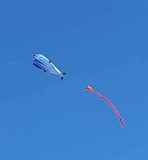20211011_135311.jpg