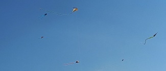 20211011_135402.jpg