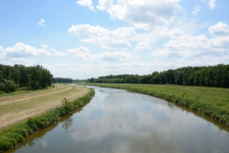 DSC_8598.JPG
