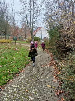 IMG20221116105417.jpg