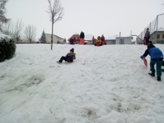 IMG_20221216_135457.jpg